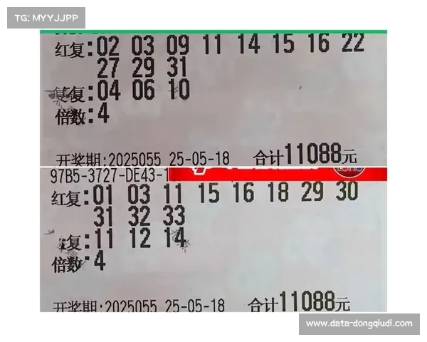 专家建议理性投注,彩民需科学管理风险避免误区 专家建议理性投注,彩民需科学管理风险避免误区