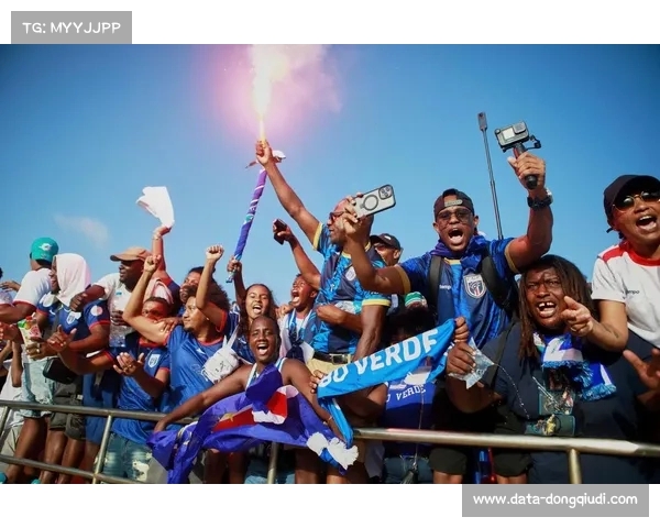 世界杯转播权争夺激烈,非洲市场成为新增长点 世界杯转播权争夺激烈,非洲市场成为新增长点