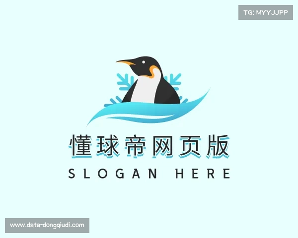 了解懂球帝网页版